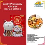 (Preorder) Lucky Prosperity  Gift Box 幸财运大满贯礼盒装