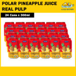 Polar Pineapple Juice with Pulp (24 x 300ml)